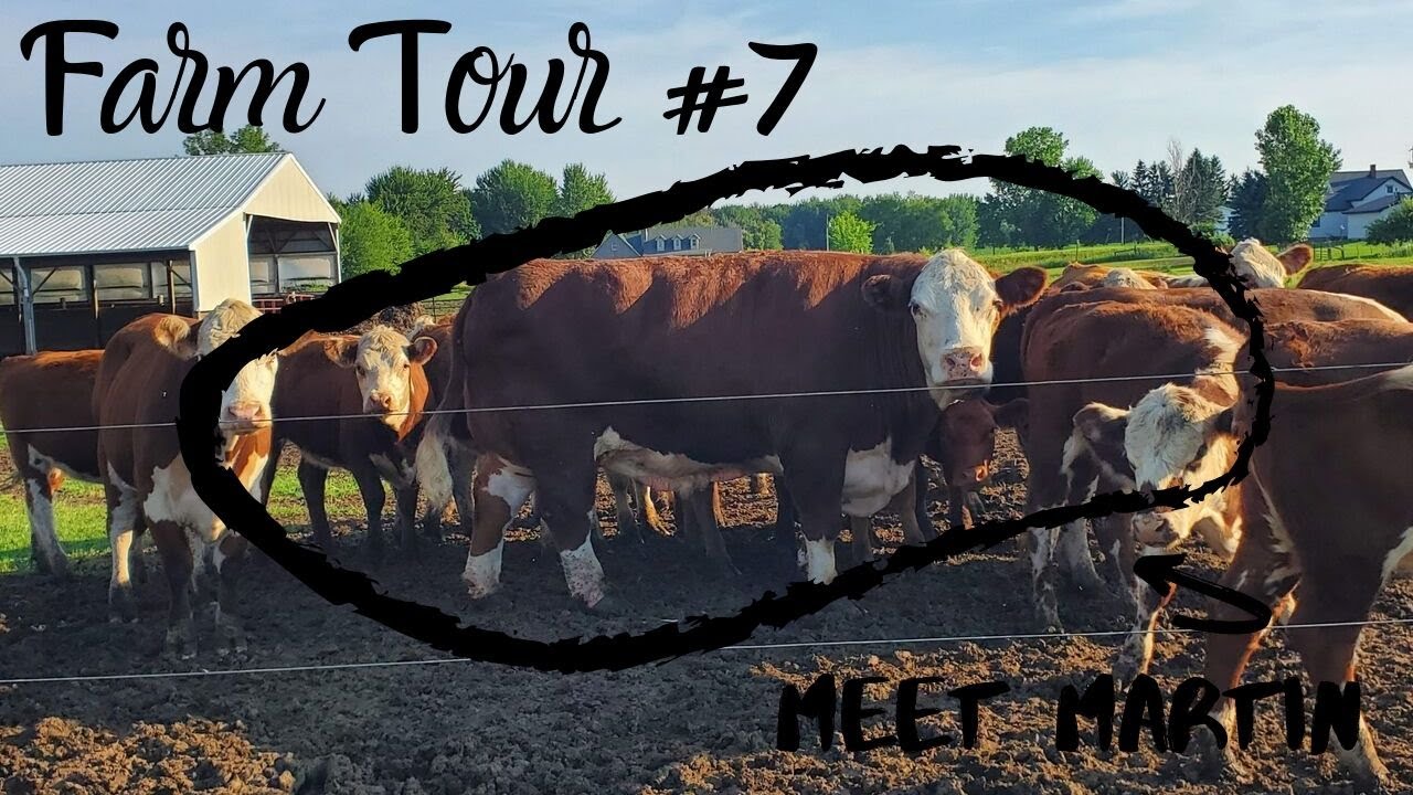 Farm Tour #7 / Meet Martin